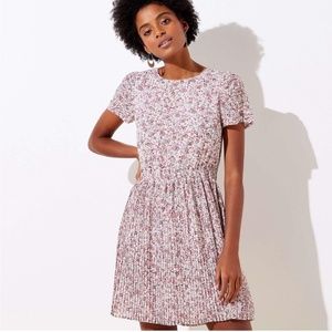 Loft Garden Pleated Flare Dress